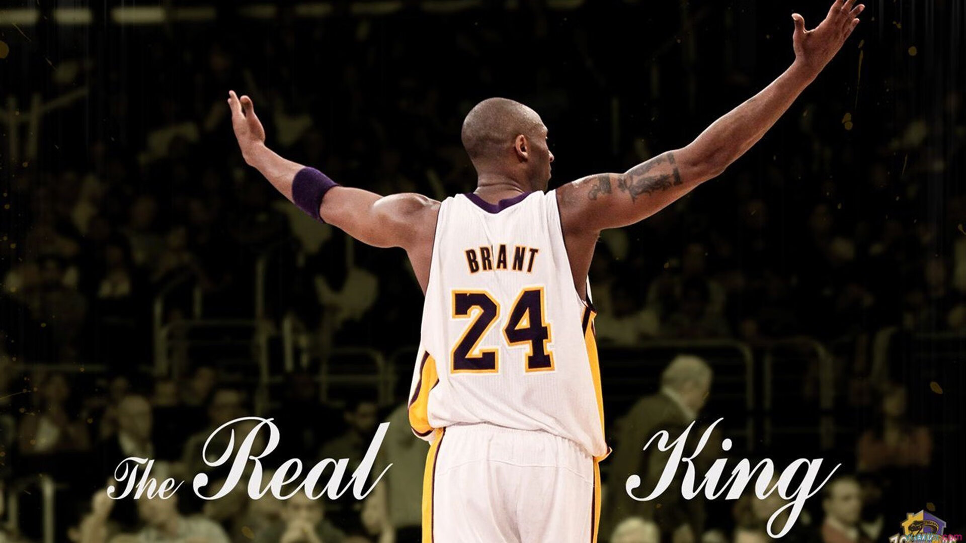 未来科技：虚拟实境同步直播引领新体验，未来的虚拟